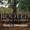 Colossians - Rooted in Christ