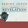 Revelation - Seeing Jesus